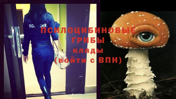 мяу мяу мука Алексин