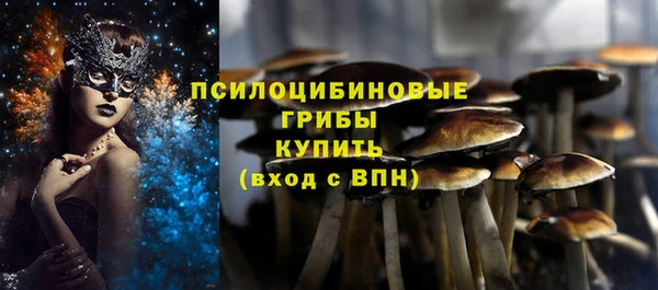 прущие грибы Новодвинск