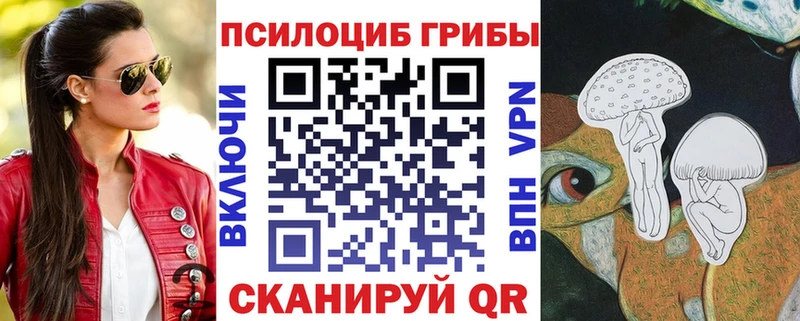 omg Томск Галлюциногенные грибы Cubensis купить цена